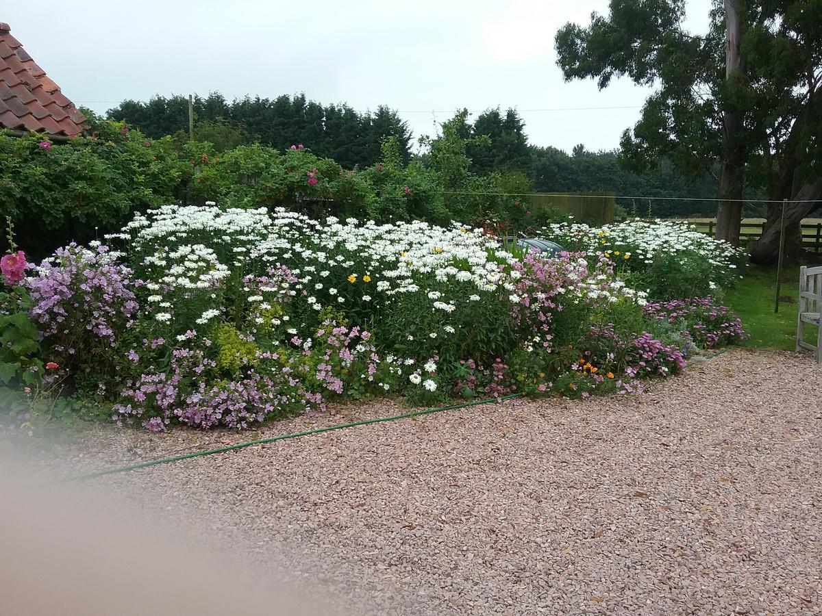 Shangri-La Bed And Breakfast Leuchars ภายนอก รูปภาพ